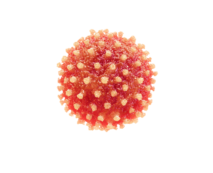 b-ჰეპატიტი