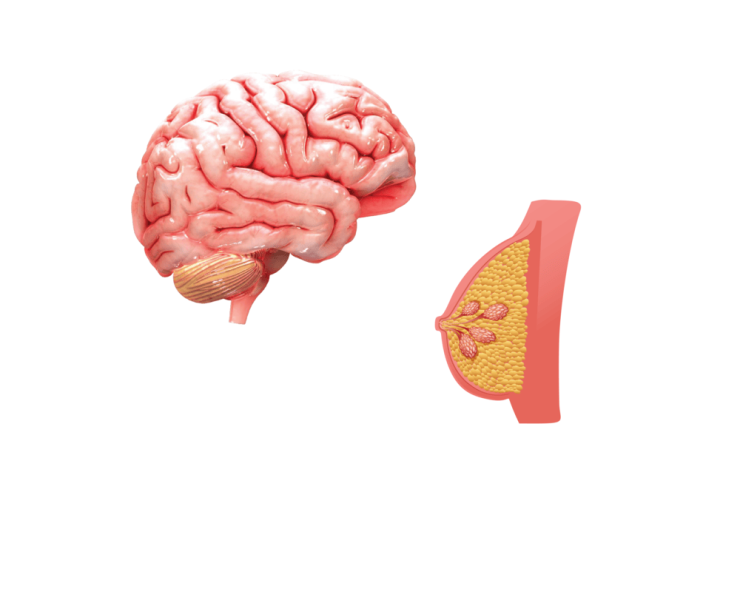 პროლაქტინის-გამოკვლევა